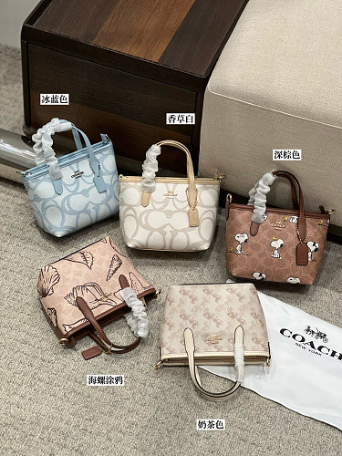 Louis Vuitton Yulin Coach 15.5 14 9cm