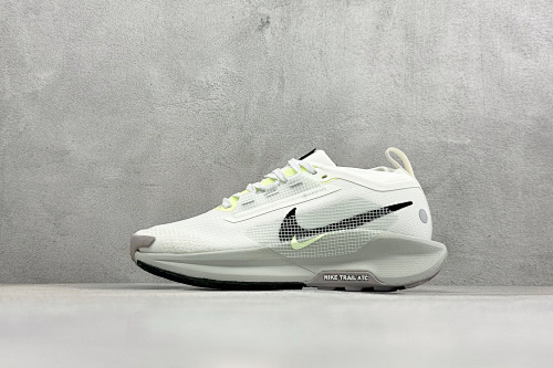 Zhenhui-Nike Reactx Pegasus Trail 5 GTX-FQ0908-102