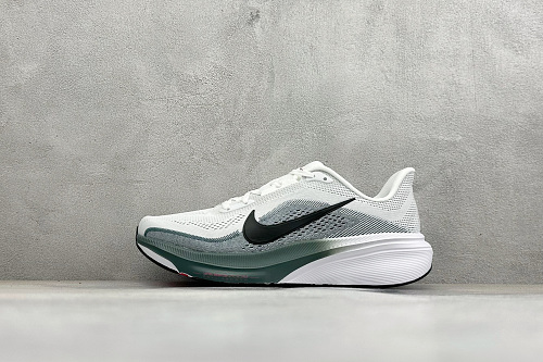 Zhenhui-RS NK Air Zoom Pegasus 42
