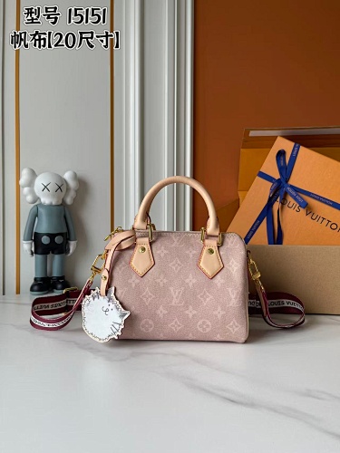 Louis Vuitton Speedy 20 Bandouliere Meowgram