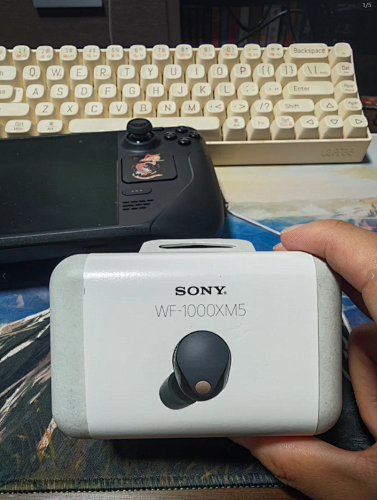 Lili-WF-1000XM5 Top Quality