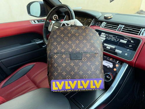 Louis Vuitton Xinxin 37 40 20cm