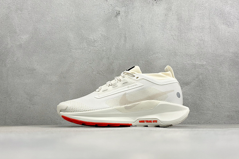 Zhenhui-Nike Reactx Pegasus Trail 5 GTX-FQ0908-100