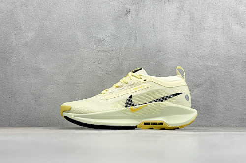 Zhenhui-Nike Reactx Pegasus Trail 5 GTX-FQ0908-700