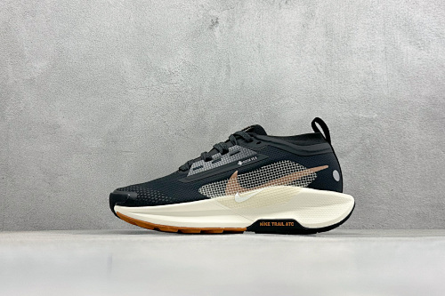 Zhenhui-Nike Reactx Pegasus Trail 5 GTX-FQ0908-007