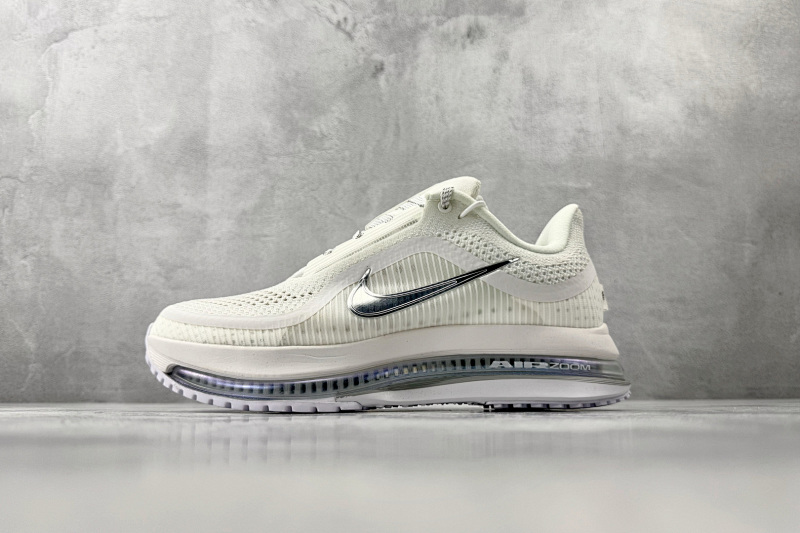 Zhenhui-Nike Pegasus Premium -HQ2592-102