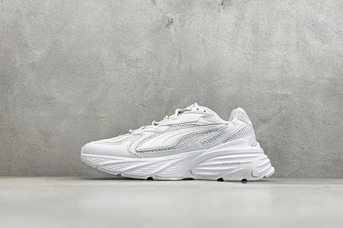 Zhenhui-Puma Fade Nitro Ls