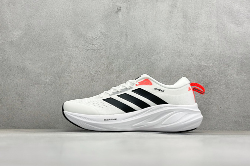 Zhenhui-Adidas Terrex 2.0 -D68995