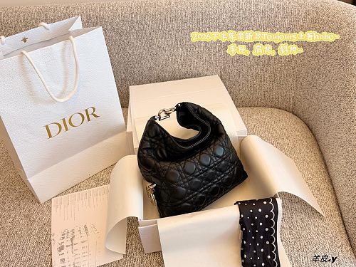 Xinxin Dior Toujours Hobo 28 22cm