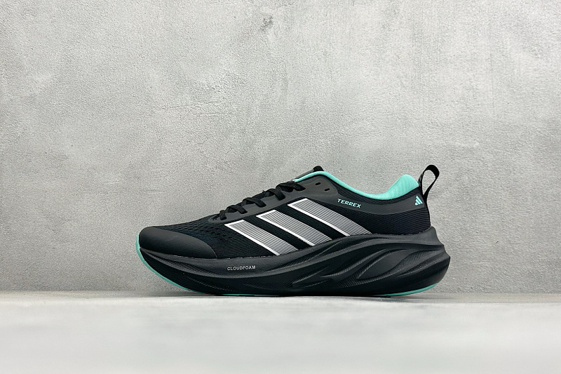 Zhenhui-Adidas Terrex 2.0 -D68998