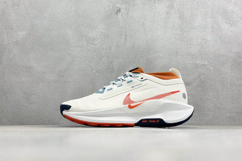 Zhenhui-Nike Reactx Pegasus Trail 5 GTX-FQ0908-003