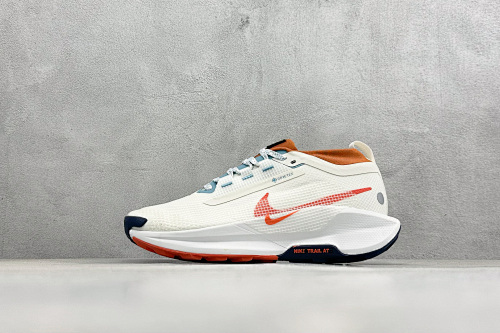 Zhenhui-Nike Reactx Pegasus Trail 5 GTX-FQ0908-003
