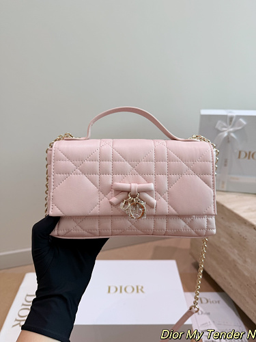 Xinxin Dior My Tender 21 11cm