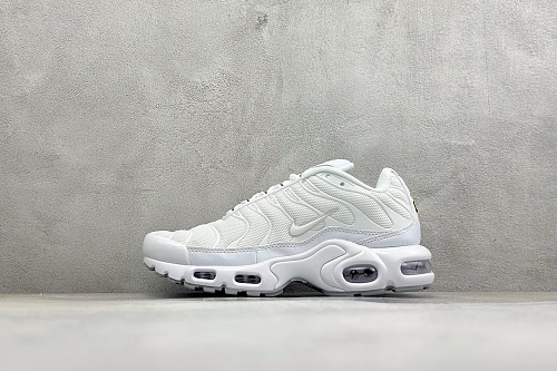 Nike Zhenhui-NK Air Max Plus TN 36-45