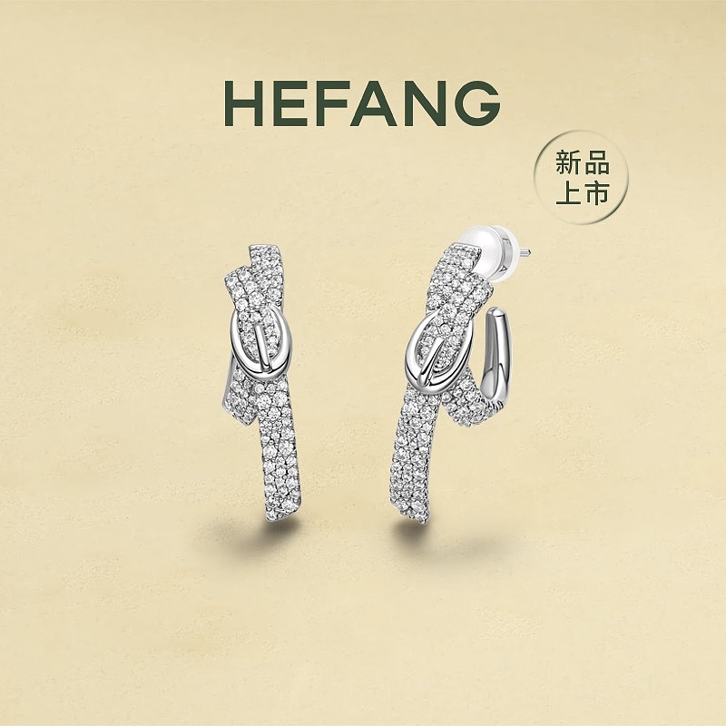 Earrings from 3125tiger