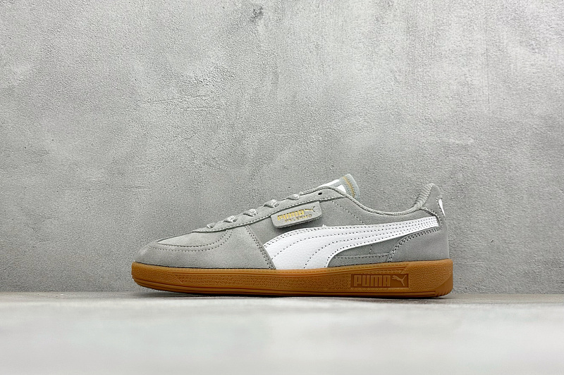 Zhenhui-Puma Palermo