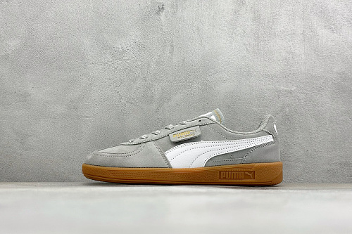 Zhenhui-Puma Palermo
