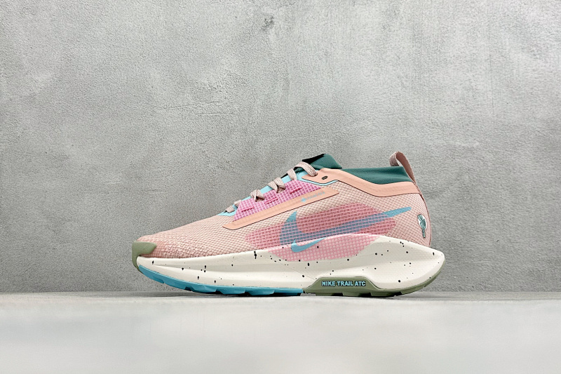 Zhenhui-Nike Reactx Pegasus Trail 5 GTX--FQ0908-600