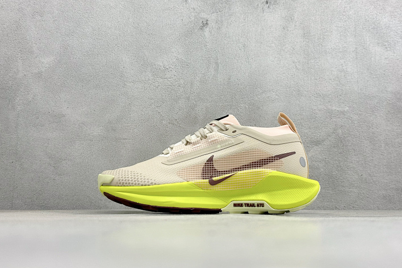 Zhenhui-Nike Reactx Pegasus Trail 5 Gtx -FQ0912-101