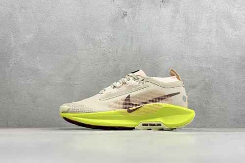 Zhenhui-Nike Reactx Pegasus Trail 5 Gtx -FQ0912-101