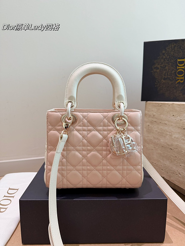 Dior Xinxin 20cm