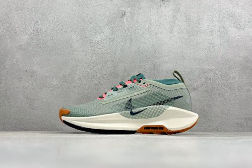 Zhenhui-Nike Reactx Pegasus Trail 5 Gtx -FQ0908-300