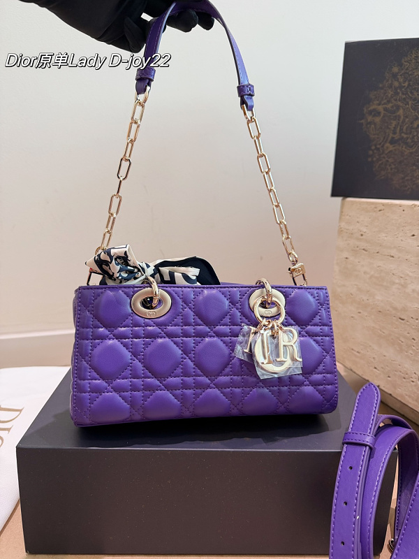 Dior Xinxin 22 12cm