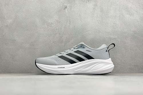 Zhenhui-Adidas Terrex 2.0 -D68994