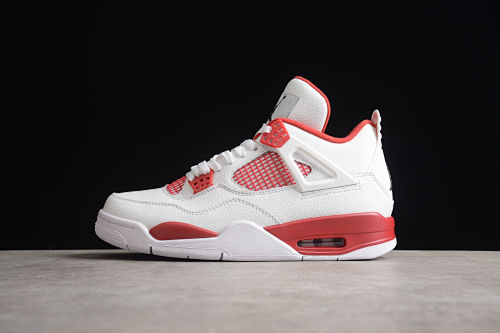 Air Jordan 4 Retro Alternate 89