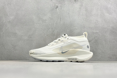 Zhenhui-Nike Reactx Pegasus Trail 5 Gtx --FQ0908-101