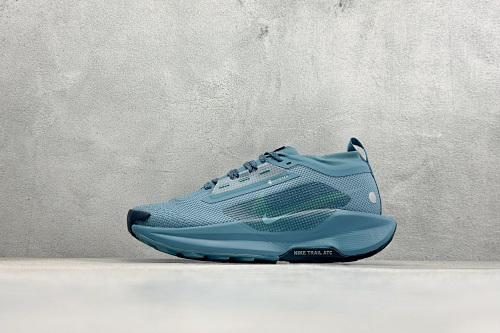 Zhenhui-Nike Reactx Pegasus Trail 5 GTX-FQ0908-005
