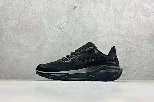 Nike Zhenhui-NK Air Zoom Pegasus 41 -FD2723-002