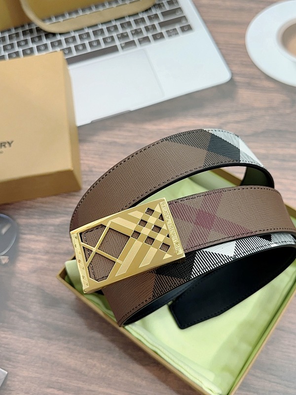 Belt from 3125tiger