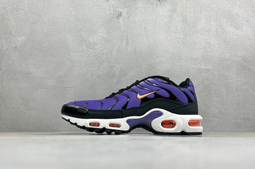 Zhenhui-Nike Air Max Plus -CV8838-400