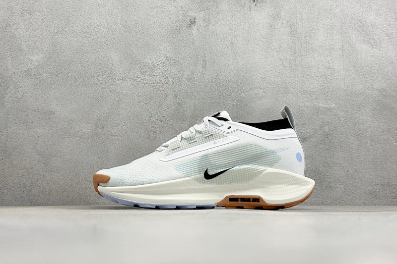 Zhenhui-Nike Reactx Pegasus Trail 5 Gtx -FQ0912-103