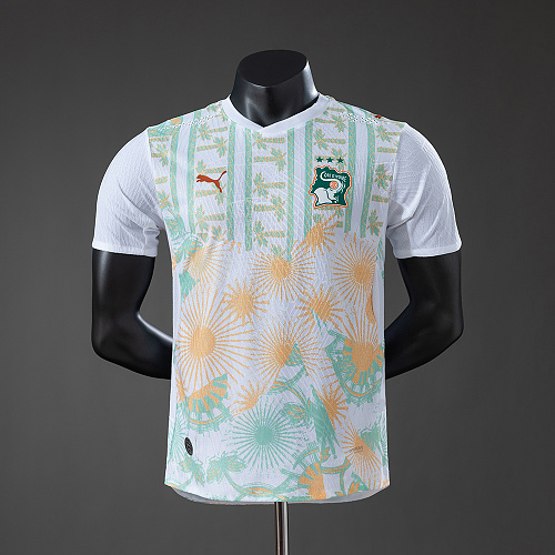 Ivory Coast Away Player Version Jersey S-2XL
