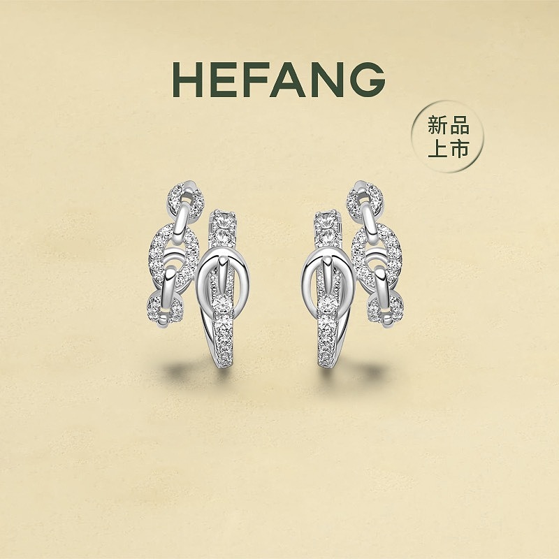 Earrings from 3125tiger