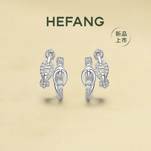 Earrings from 3125tiger