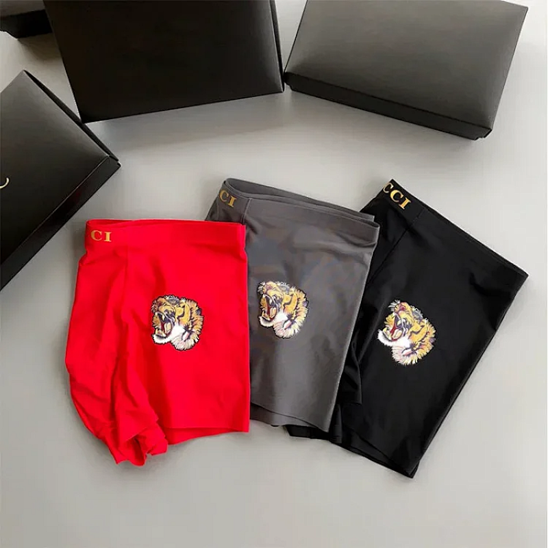 Gucci pants