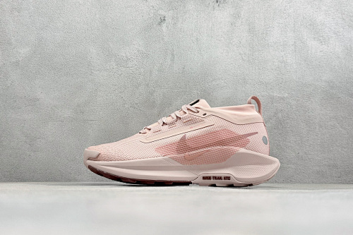 Zhenhui-Nike Reactx Pegasus Trail 5 GTX-FQ0912-601