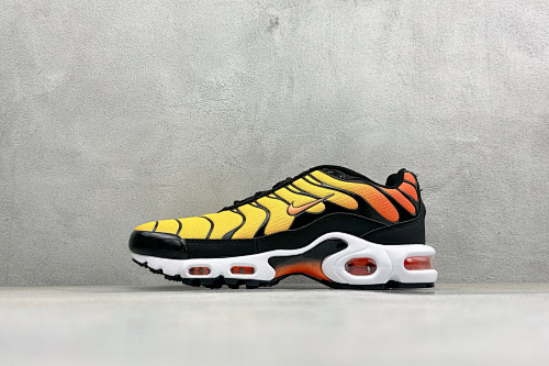 Zhenhui-Nike Air Max Plus-CI2301-300