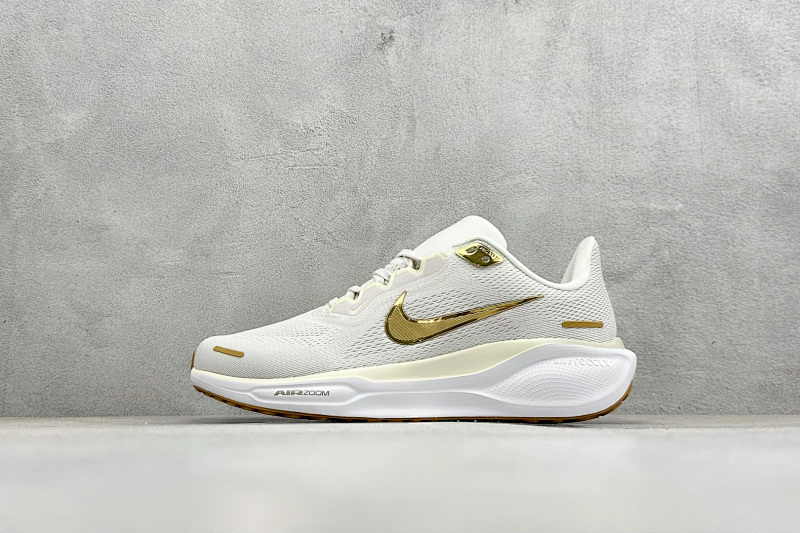 Nike Zhenhui-NK Air Zoom Pegasus 41 -FD2723-005