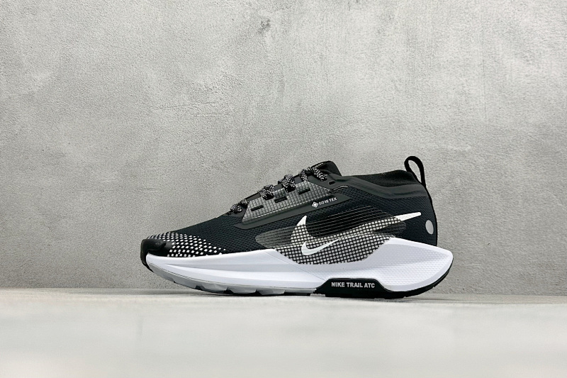 Zhenhui-Nike Reactx Pegasus Trail 5 GTX-FQ0908-013