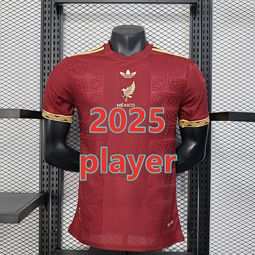 Mexico Special Player Version Jersey S-2XL