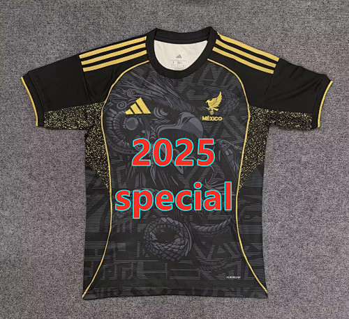 Mexico Special Fans Version Jersey S-2XL