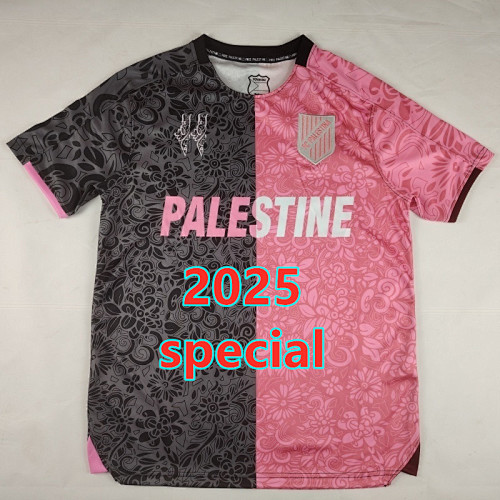 Palestine Special Fans Version Jersey S-4XL
