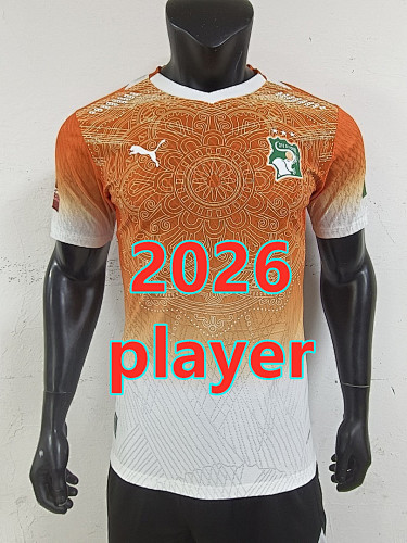 Cote D'Ivoire Special Player Version Jersey S-2XL