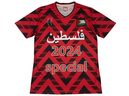 Palestine Special Jersey S-2XL