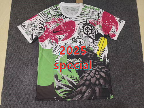 Brazil Special Fans Version Jersey S-2XL