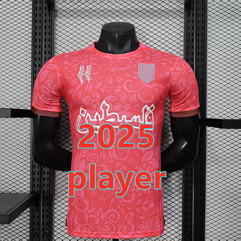 Palestine Training Player Version Jersey S-2XL
